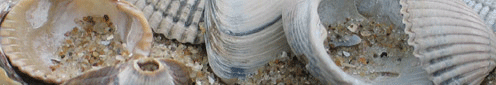 Aanbodbanner