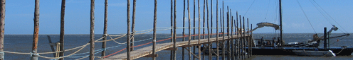 Aanbodbanner